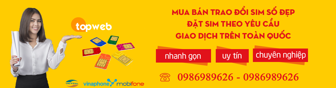 bannersim1a